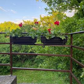 Apartman Jelena Sumarice, hotel a Divostin