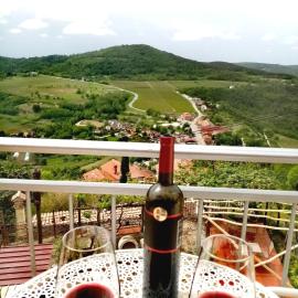 Studio apartman Belvedere, Hotel in Motovun