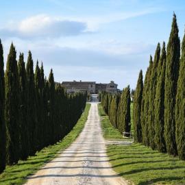 Cozy home in countryside Asciano Siena -renovated!