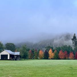 Nunkeri, hotell sihtkohas Wollombi