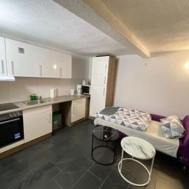 Appartement Somptueux a Unterheinriet