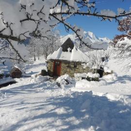 gite MOULIN LE PETIT NID