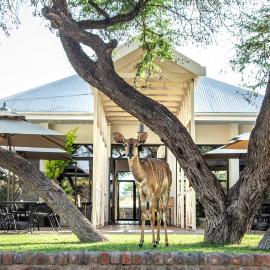 Otjibamba Lodge, hotel Otjiwarongóban