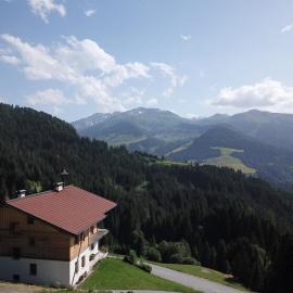 Ferienwohnung in Panorama Alleinlage Kitzbüheler AlpenWILD63 by FeWo-Plan, Hotel in Schwarzenau