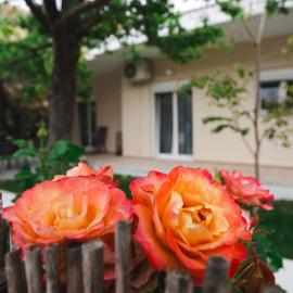 LUCY APARTAMENT, hotel in Kamena Vourla