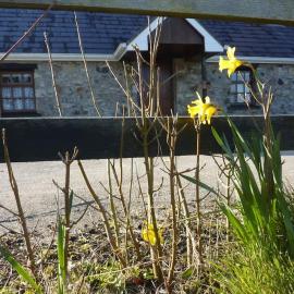 The Hill Cottage, hotel em Galway