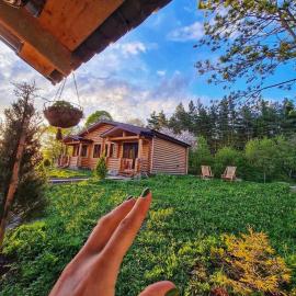 Kingswood Cabins Borjomi, hotell i Borjomi