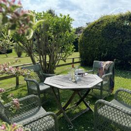 Primrose Cottage - South facing cottage in the heart of Dittisham