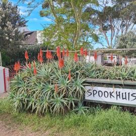 Spookhuis, hotel a Napier