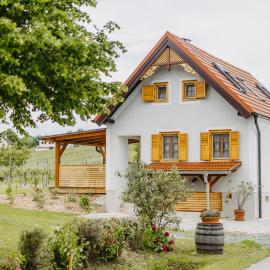 Urlaub im Kellerstöckl Dunst