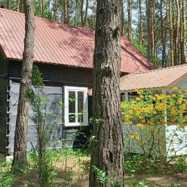 Wilga - urokliwy dom z bala (50 km od Warszawy)