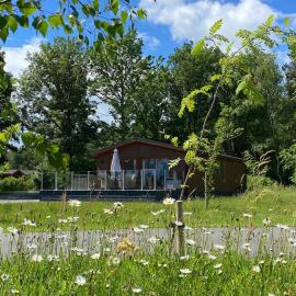 Hollicarrs - Honeycomb Lodge