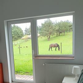 Pokoje gościnne Trąbki Małe k.Gdańska, hotel em Trąbki Małe
