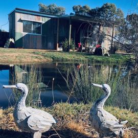Concongella Cabin, hotel i Great Western