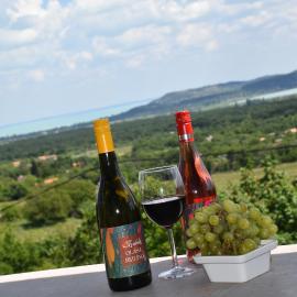 Kisleshegy Balatonudvari Vendégház, hotelli kohteessa Balatonudvari