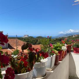 Summerland Lukovë
