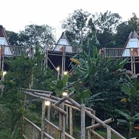 El Guadual Glamping, hotel in Ibagué