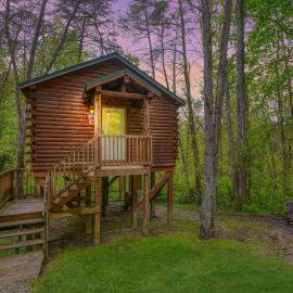 Blue Rose Cabins - Treetops Cabin, viešbutis mieste Loganas