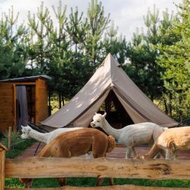 Glamping - Projekt Alpaka, hotel a Garbatka-Letnisko