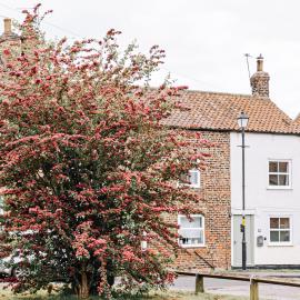 NEW Thirsk Stays - Herriot's Hideaway, hotel i Thirsk