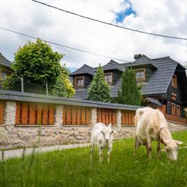 Drevenička v Ďurčinej - Anna, hotel in Ďurčiná