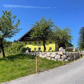Eisenstattgut Faistenau