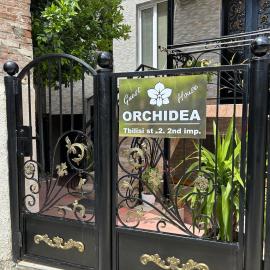 Orchidea Guest House