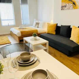 Luxury Studio Apartment
