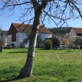 Domaine La Bonne Dame - Merle, au coeur des Vosges