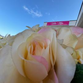 Villa Mia apartments, hotell i Sutomore