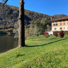 Eden Lake "L'Angolino di GIULIO"