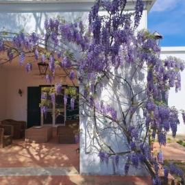 Villa Francesca - Camere con giardino, hotel sa Castellaneta