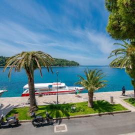 Central located house 'PORAT', hotel in Cavtat