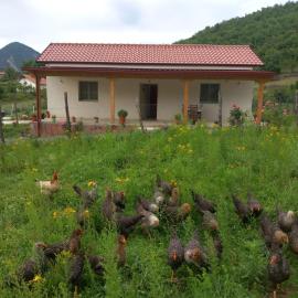 Shpija E AMEL (Sweet Guest House), hotel Ferr-Shkopet városában