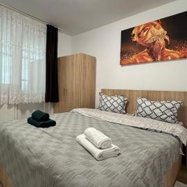 Alice Apartment, hotel en Roman