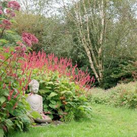 Cosy bijou retreat