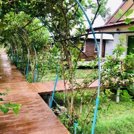 Baan Thung Home Stay, hotel Praszatban