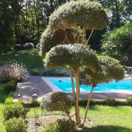La Lilas des Fargues Maison d'Hôtes, hotel in Albi