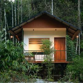 BLUE CREEK Pool property, Hotel in Meppādi
