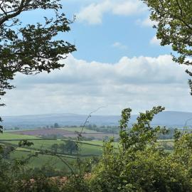 Countryside cottage near Crediton