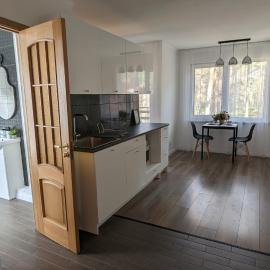 Pine forest house 6, hotell i Gauja