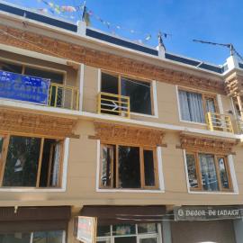 Wind castle guest House, hotel in Leh