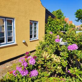 Tinghus Flat, hotel in Skagen