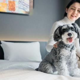 hotel anddoggy Kyoto Nijo, hotel em Quioto
