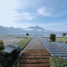 Lake Batur Cabin, Hotel in Kubupenlokan