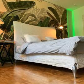 Stilvolle Wohnung nahe Flughafen & Messe