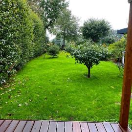 Haus des Faultiers
