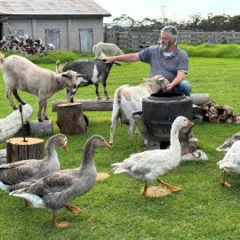 Bush Retreat Farm Stay 2 BR Guest Suite, hotel din Gelliondale