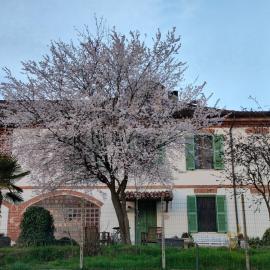 Cascina Patrizia