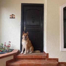 Spacious Family House, hotel in Quetzaltenango